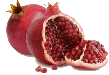 Fresh Wholesale Pomegranate Fruit